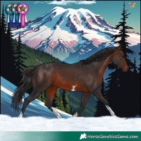 Horse Color:Brown Tobiano