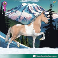 Horse Color:Silver Sable Champagne Tobiano