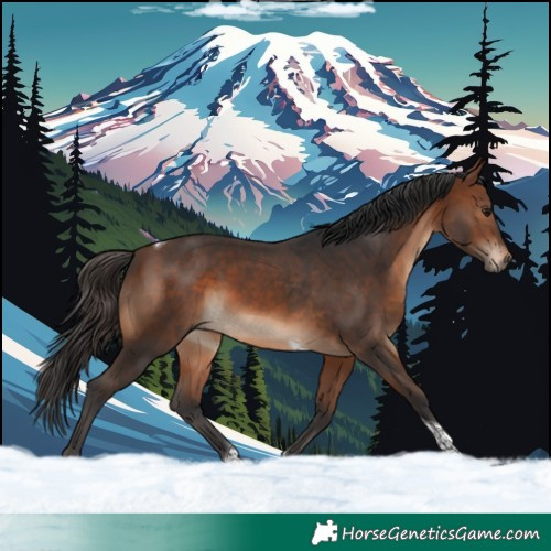 Horse Color:Brown Tobiano 