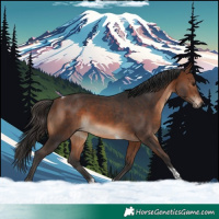 Horse Color:Brown Tobiano 