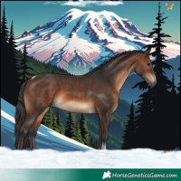 Horse Color:Brown Tobiano 