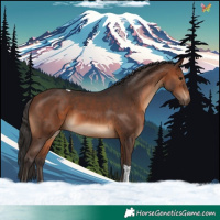 Horse Color:Brown Tobiano