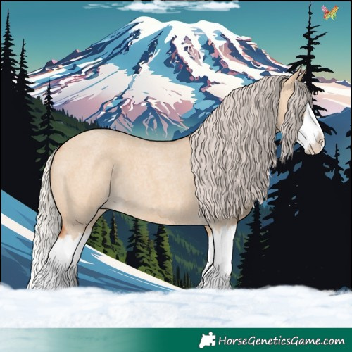 Horse Color:Silver Bay Roan Dun Splash 