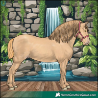 Horse Color:Gold Champagne 