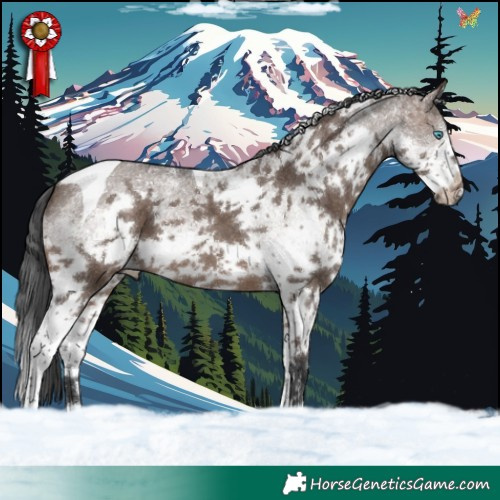 Horse Color:White Spotted Brown Dun Splash Tobiano 