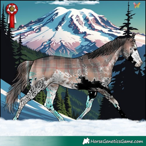 Horse Color:Plaid  White Spotted Blue Onyx Splash 