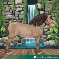 Horse Color:Amber Champagne