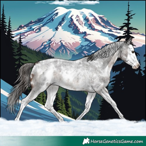 Horse Color:White Spotted Liver Red Roan Splash 