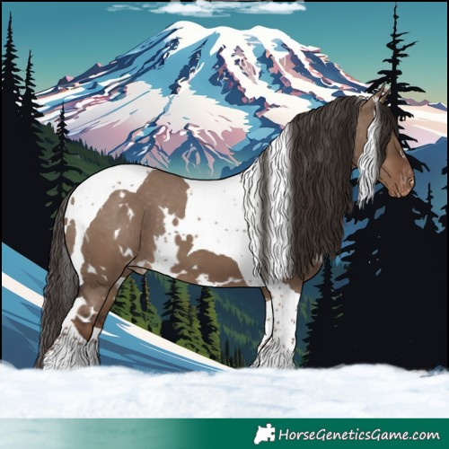 Horse Color:White Spotted Liver Red Dun Tobiano Appaloosa 