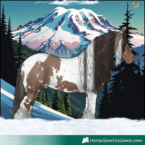 Horse Color:White Spotted Liver Red Dun Tobiano Varnish 