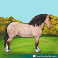 Horse Color:Bay Roan Tobiano 