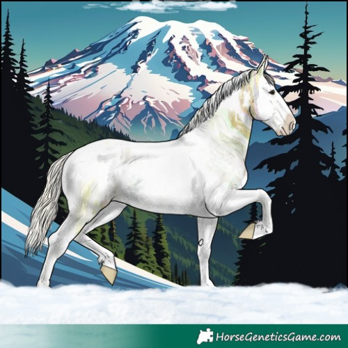 Horse Color:White Spotted Silver Buckskin Ice Splash Tobiano 