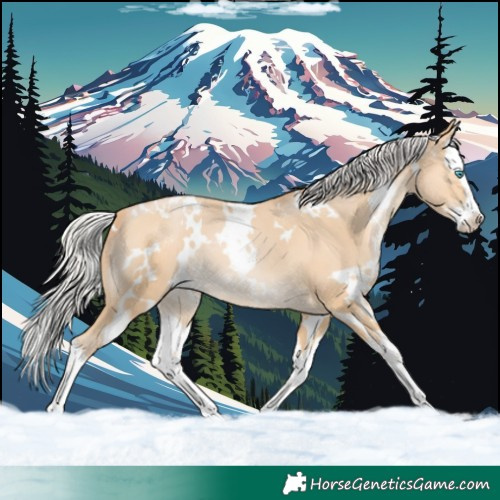Horse Color:White Spotted Silver Buckskin Pearl Splash 