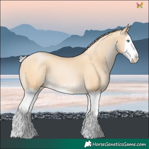 Horse Color:Silver Buckskin Pearl Splash 