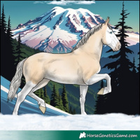 Horse Color:Silver Buckskin Pearl Splash