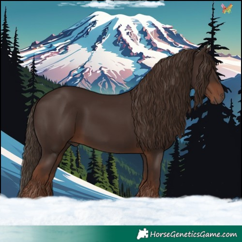 Horse Color:Liver Chestnut 