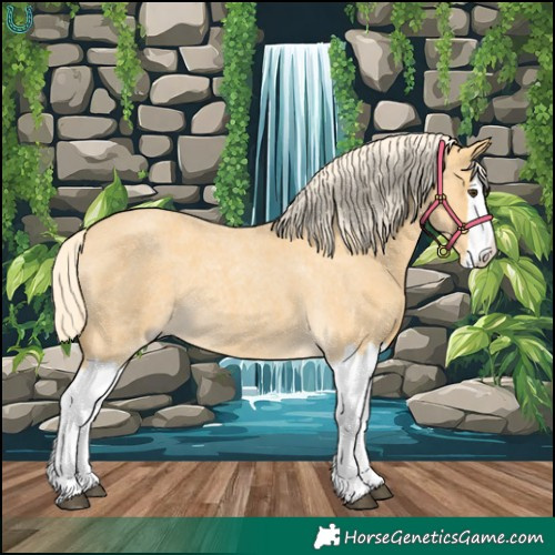Horse Color:Palomino Roan Splash