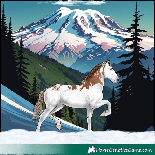 Horse Color:White Spotted Chestnut Splash 