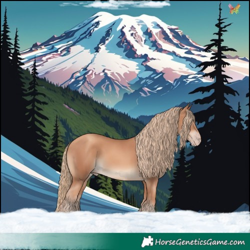 Horse Color:Gold Champagne 