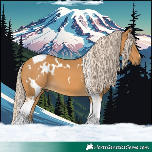 Horse Color:White Spotted Palomino Tobiano 