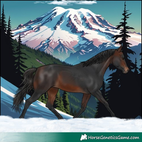 Horse Color:Brown 