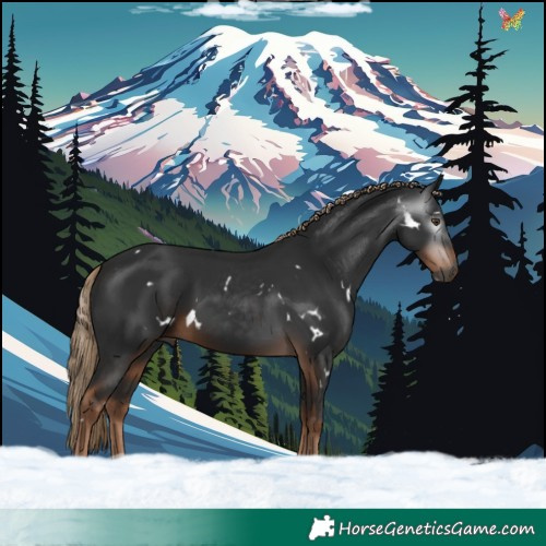 Horse Color:Gray White Spotted Liver Chestnut 