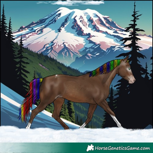 Horse Color:Gray Painted White Spotted Sable Champagne Tobiano 