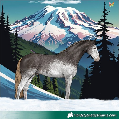 Horse Color:White Spotted Liver Chestnut 