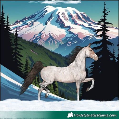 Horse Color:White Spotted Bay Ice Roan 