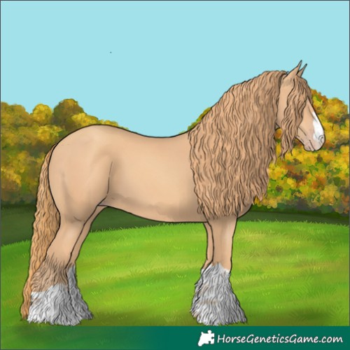 Horse Color:Gold Champagne 