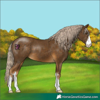 Horse Color:Chocolate Palomino Mushroom 