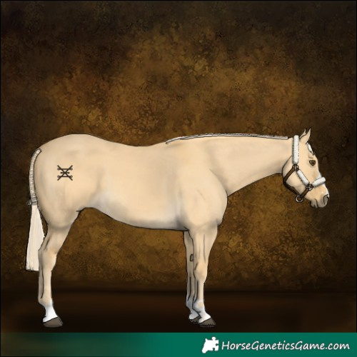 Horse Color:Palomino Dun