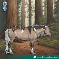 Horse Color:Powder White White Spotted Silver Brown Dun