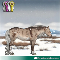 Horse Color:White Spotted Silver Brown Dun Tobiano Brindle 