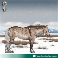 Horse Color:White Spotted Silver Brown Dun Tobiano Brindle