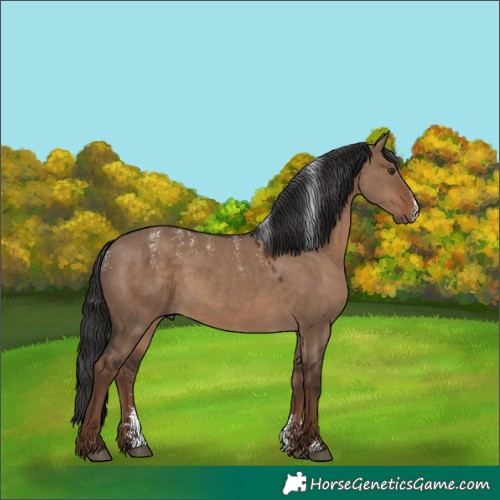 Horse Color:Powder White Liver Red Dun 