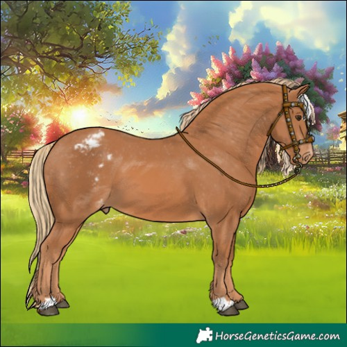 Horse Color:Chestnut Skewed LP Spotted 