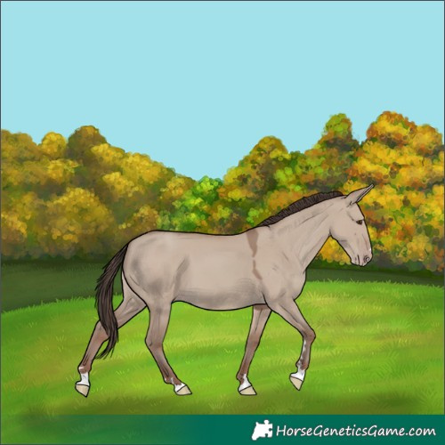 Horse Color:Classic Champagne Dun 