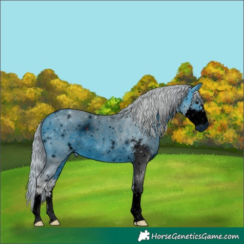 Horse Color:ERROR: UNKNOWN ANOMALY