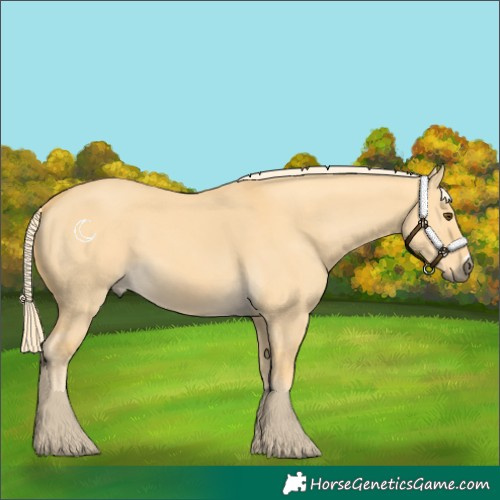 Horse Color:Palomino Dun 