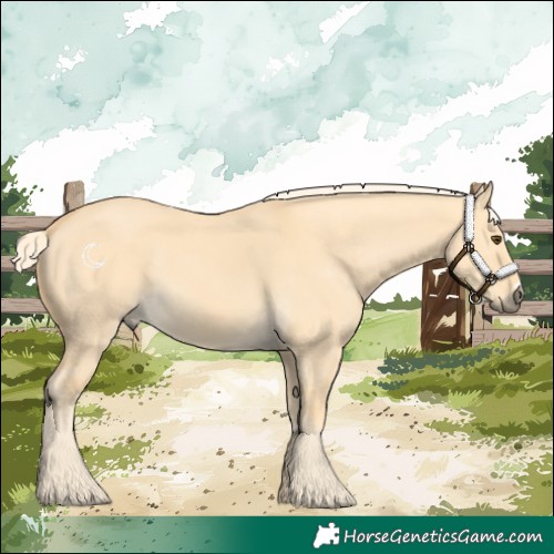 Horse Color:Palomino Dun 