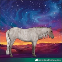Horse Color:Silver Blue Roan 