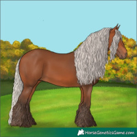 Horse Color:Silver Bay