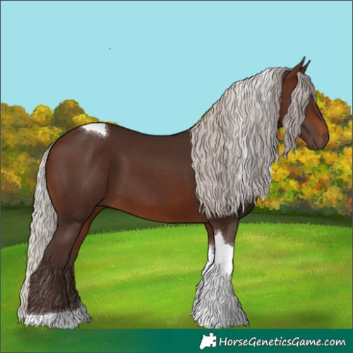 Horse Color:Silver Brown Tobiano 