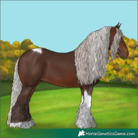 Horse Color:Silver Brown Tobiano 
