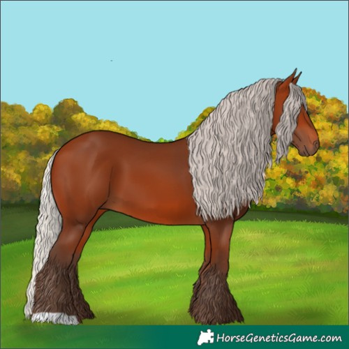 Horse Color:Silver Bay