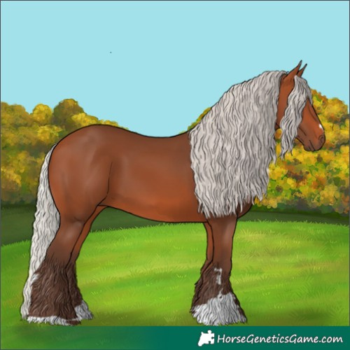 Horse Color:Silver Bay 