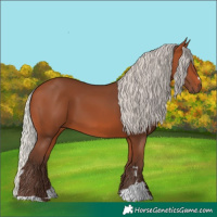 Horse Color:Silver Bay