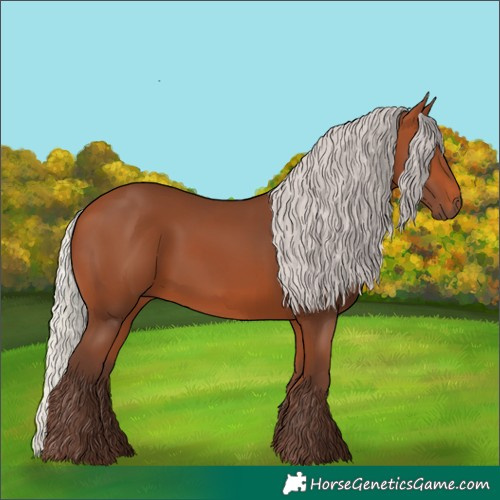 Horse Color:Silver Bay Rabicano 