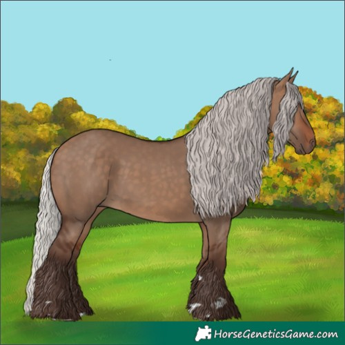 Horse Color:Silver Brown Dun